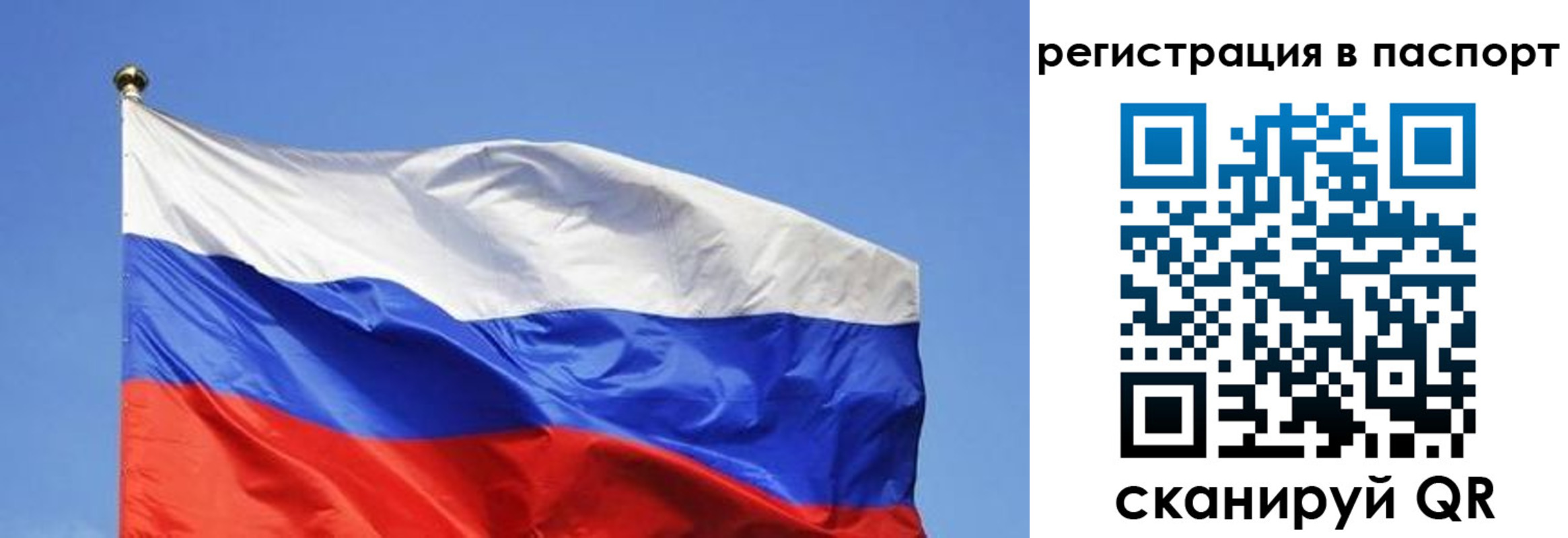 прописка в квартире в Новозыбкове